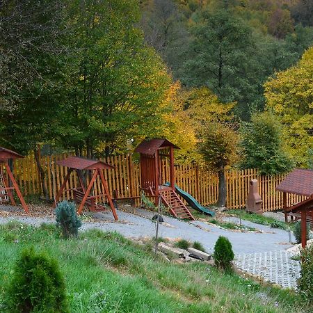 Pensiunea Mihaiu Sasului Vîrciorog Exterior foto