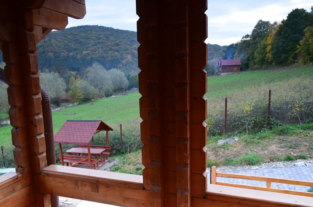 Pensiunea Mihaiu Sasului Vîrciorog Exterior foto