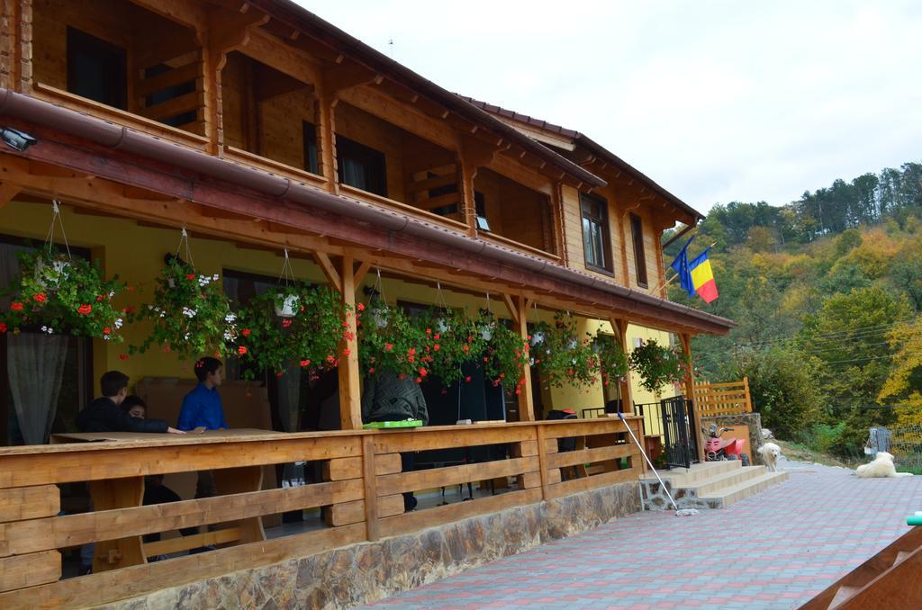 Pensiunea Mihaiu Sasului Vîrciorog Exterior foto